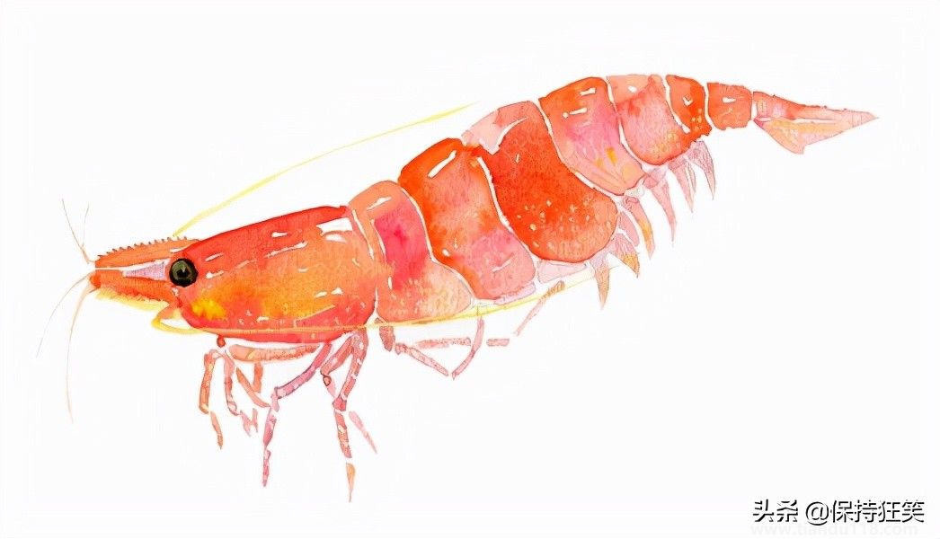 臺灣十大特產(chǎn)排行榜 臺灣特產(chǎn)什么最出名 來臺旅游值得帶的伴手禮