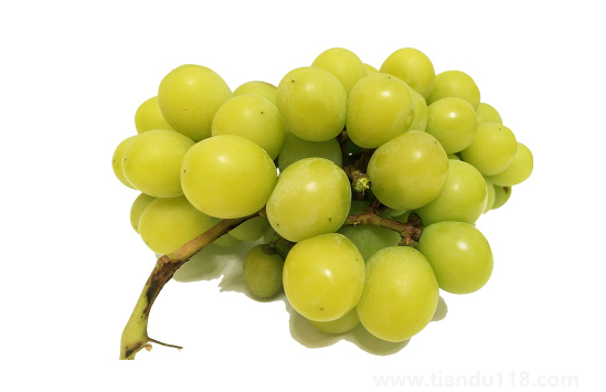 陽(yáng)光玫瑰葡萄和晴王葡萄哪個(gè)價(jià)格貴(晴王葡萄多少錢一斤)(圖3) 陽(yáng)光玫瑰葡萄和晴王葡萄哪個(gè)價(jià)格貴3