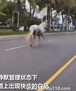 1660274882775134.png 微信圖片_20220812112749.png