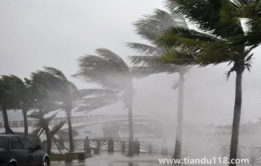 2022年為什么臺風這么少(臺風來了怎么辦)(圖1) 2022年為什么臺風這么少1