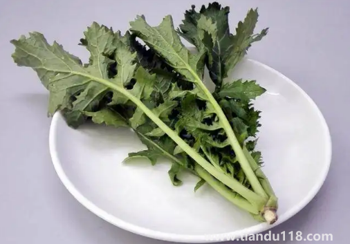 雪里蕻的功效與作用(雪里蕻的常見吃法)(圖3) 雪里蕻的功效與作用3