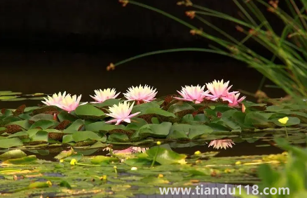 以后夏天會(huì)一年熱過(guò)一年嗎1