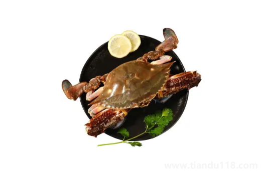 梭子蟹什么樣的肉多2