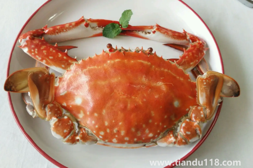 梭子蟹大的肉多還是小的肉多(梭子蟹一般多大一只)(圖1) 梭子蟹大的肉多還是小的肉多1