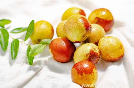 冬棗怎么吃簡(jiǎn)單好吃（冬棗可以放幾天）