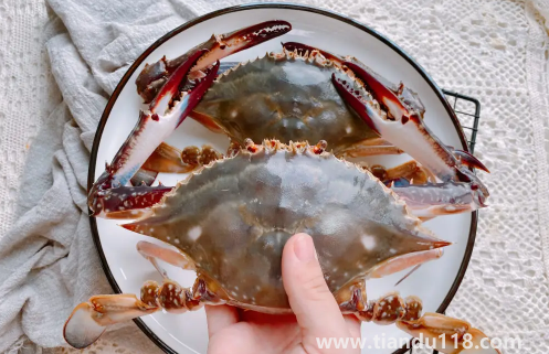 梭子蟹可以寄順豐快遞嗎1