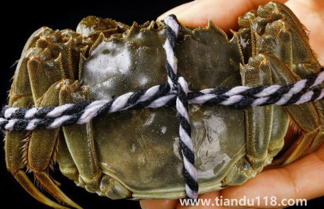 過(guò)水蟹到底是啥（過(guò)水蟹能吃嗎）