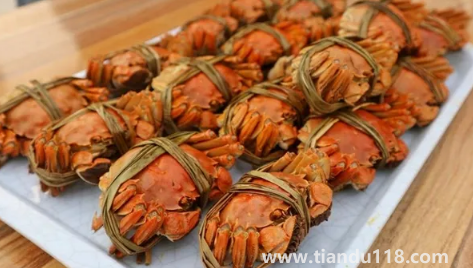 2022陽(yáng)澄湖大閘蟹十月份才上市嗎(陽(yáng)澄湖大閘蟹多少錢(qián)一個(gè))(圖2) 2022陽(yáng)澄湖大閘蟹十月份才上市嗎2