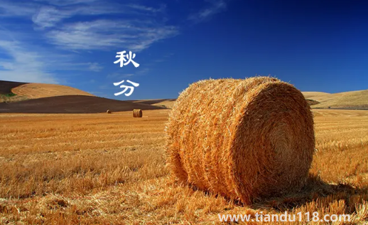 2022年秋分是農(nóng)歷幾月幾號幾點幾分幾秒（秋分怎么養(yǎng)生）