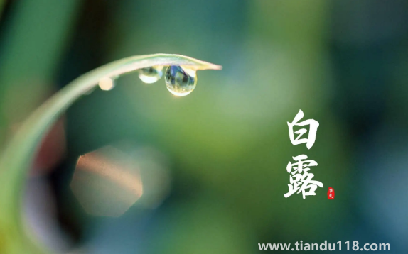 2022年白露在什么時間幾點幾分幾秒鐘（白露怎么養(yǎng)生）