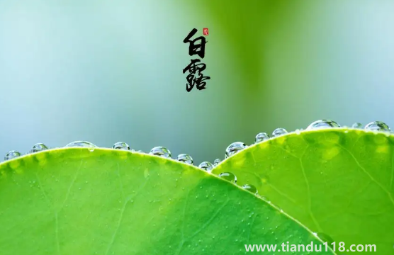 2022年白露在什么時(shí)間幾點(diǎn)幾分幾秒鐘3