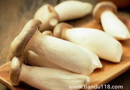 杏鮑菇切成片焯水嗎3