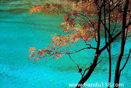 九寨溝今年國(guó)慶節(jié)開放嗎20223