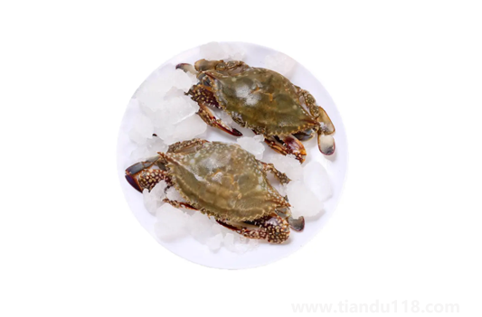 昨天買的梭子蟹今天不動(dòng)了能吃嗎1