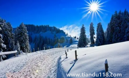 2023年冬季預(yù)測冷還是暖1