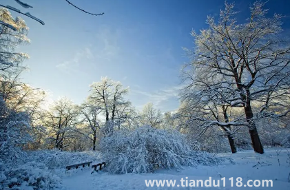 2023年冬季預(yù)測冷還是暖3