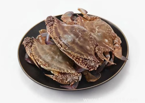 網(wǎng)上買梭子蟹是活的還是死的2