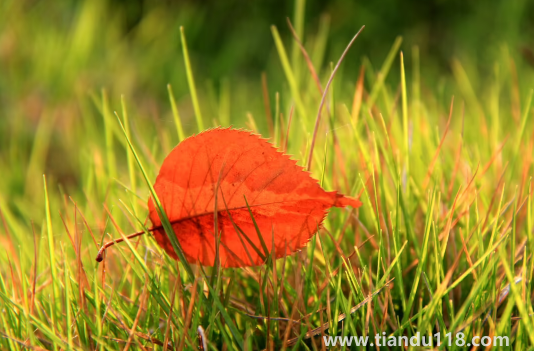 2022國(guó)慶節(jié)會(huì)有冷空氣嗎3