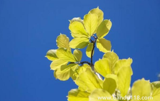 2022國(guó)慶節(jié)會(huì)有冷空氣嗎2