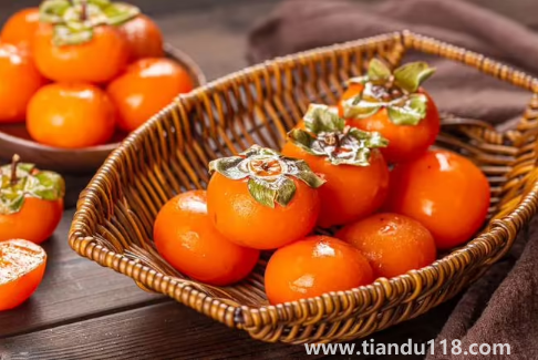 硬柿子里面有密密麻麻的黑點能吃嗎（柿子怎么看壞沒壞）