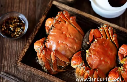 吃大閘蟹是沾醋還是醬油(大閘蟹不能和什么一起吃)(圖3) 吃大閘蟹是沾醋還是醬油3