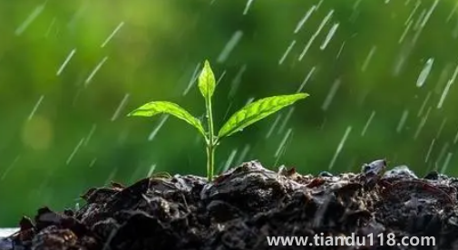 2022深圳10月份雨水多嗎2