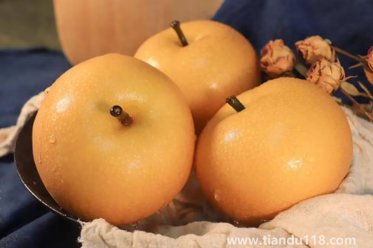 秋月梨和豐水梨哪個(gè)好吃(吃梨的注意事項(xiàng))(圖3) 秋月梨和豐水梨哪個(gè)好吃3