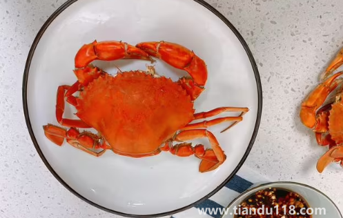 青蟹和梭子蟹哪個(gè)更好吃（青蟹和梭子蟹哪個(gè)貴）