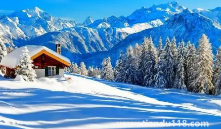 2022上海幾月份進入冬季(上海冬季溫度是多少)(圖2) 2022上海幾月份進入冬季2