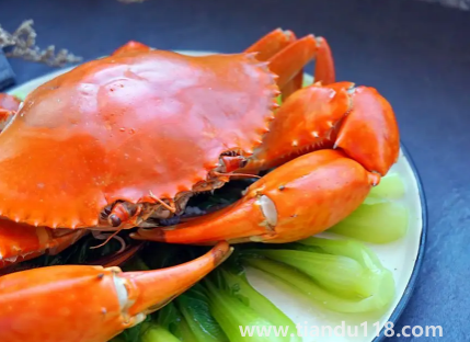 青蟹蒸幾分鐘就可以吃了3