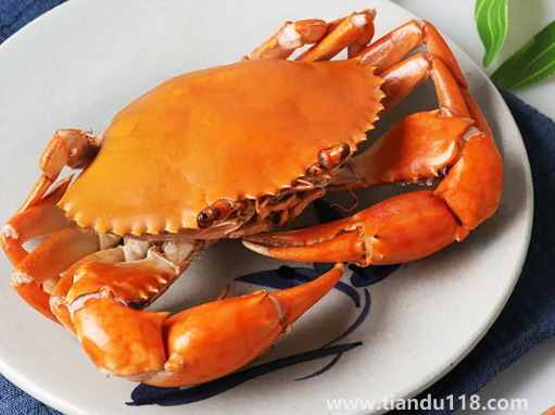 青蟹蒸之前要怎么處理(清蒸青蟹多長時(shí)間)(圖2) 青蟹蒸之前要怎么處理2