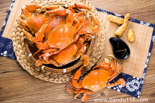 青蟹什么時(shí)候最肥最好吃3