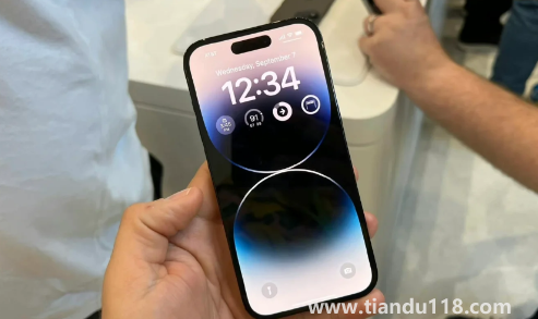 蘋果iPhone14預(yù)約官網(wǎng)快還是京東快（iPhone14能分多少期購(gòu)買）