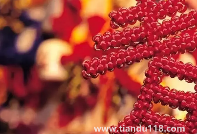 2023年春節(jié)會(huì)比2022年春節(jié)冷還是熱3