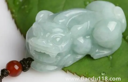 貔貅每個人都能佩戴嗎（貔貅最忌諱什么生肖）