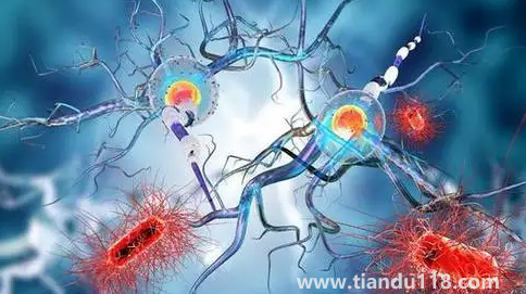 化療會讓女人更快衰老嗎(化療是術(shù)前做好還是術(shù)后做好)(圖2) 化療會讓女人更快衰老嗎2