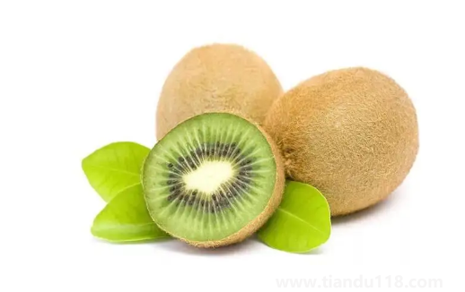 獼猴桃硬邦邦的可以放冰箱嗎(獼猴桃挑選技巧)(圖2) 獼猴桃硬邦邦的可以放冰箱嗎2