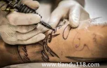 鯉魚(yú)可以隨便紋嗎3