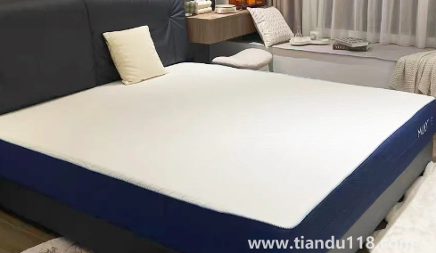 椰棕會不會生蟲子1