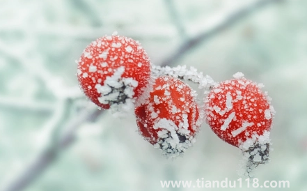 2022年霜降會(huì)提前嗎1