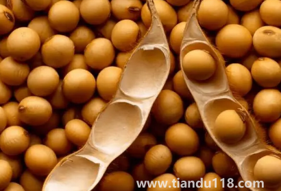 大豆被和蠶絲被哪個(gè)適合孩子3