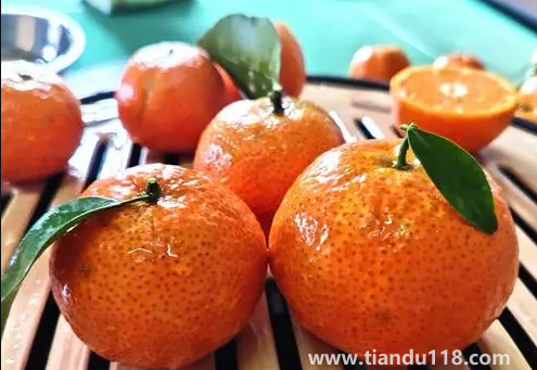 葡萄柚好苦還能吃嗎(葡萄柚好吃嗎)(圖2) 葡萄柚好苦還能吃嗎2