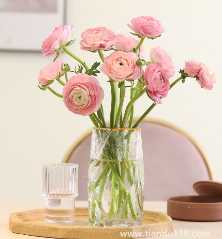 網購鮮花如果不醒花能放多久(醒花后花可以活多久)(圖1) 網購鮮花如果不醒花能放多久1