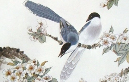 2023年生肖馬運(yùn)勢(shì)怎么樣3