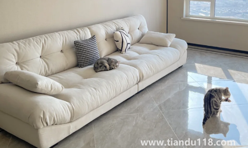 2米8的沙發(fā)適合多大客廳2