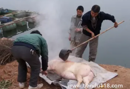 2023年臘月初一殺豬好不好1