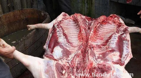 2023臘月哪天適合殺豬(臘月殺豬哪些是要注意的)(圖1) 2023臘月哪天適合殺豬1