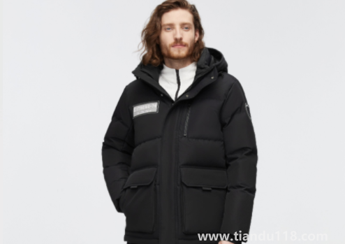 鵝絨一般比鴨絨貴多少(冬天有必要買(mǎi)鵝絨服嗎)(圖2) 鵝絨一般比鴨絨貴多少2