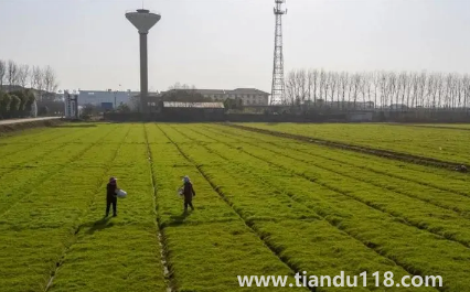 2023年除夕冷不冷（除夕天氣怎么樣）