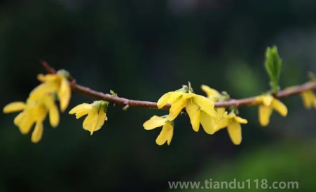 2023躲春時(shí)睡覺(jué)好嗎（躲春全天都要躲嗎）